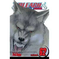 Kubo, Tite Bleach, Vol. 62