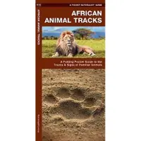 African Animal Tracks