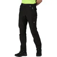 Regatta Highton Shortsit