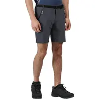Regatta Xert Stretch Iii Shortsit
