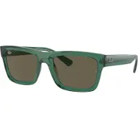 Ray-Ban Warren - RB4396 6681/3 5720