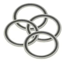 Campagnolo Lip Tiivisterengas 4 Yksiköt