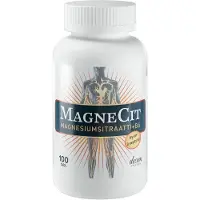 Decem Pharma Magnecit 100 tabl