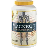 Magnecit Purutabletti 100 kpl