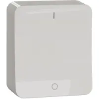 Schneider ELECTRIC EXXACT PINTA 2-KYTKIN IP21 RUUVILIITOS VALKOINEN (WDE015607)