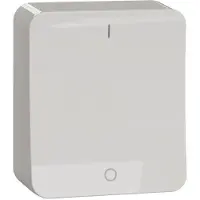 Schneider ELECTRIC EXXACT PINTA 2-KYTKIN IP21 JOUSILIITOS VALKOINEN (WDE015507)