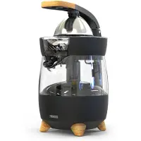 Princess Mehupuristin 300 W