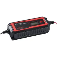 Motorwerk IC 4A akkulaturi
