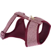 Nomad Tales Calma -valjaat burgundy M 38–56cm rinnanympärys