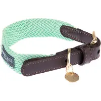 Nomad Tales Bloom -kaulapanta mint M 40-46cm kaulanympärys L32mm