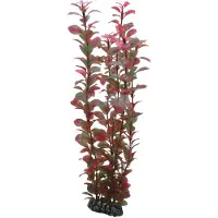 Hobby - Plastväxt Ludwigia 34cm - Akvaariotarvikkeet - Akvaarion sisustus - Tekokasvit