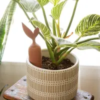 Adlibris Terracotta Watering Stake, Kikkerland