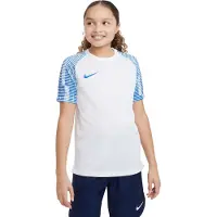 Nike Toiminnallinen paita 'Academy' sininen / valkoinen