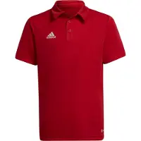 Adidas Entrada 22 Lyhythihainen Pikeepaita