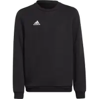 Adidas ENTRADA 22 -collegepaita H57474 lasten urheilucollegepaita
