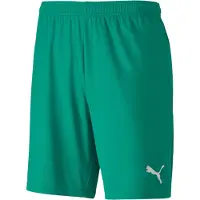Puma Jalkapalloshortsit teamGOAL 23 - Vihreä, koko XX-Large