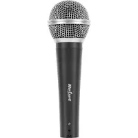 Rebel Microphone DM-80