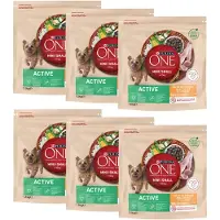 Purina One säästöpakkaus: 18kg Mini Active kana ja riisi kuivaruoka koira