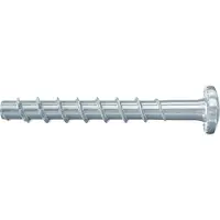 Fischer Ultracut Fbs Ii 6x40/5 P Torx-ruuvi 100 Kappaletta