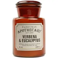 PADDYWAX Apothecary Verbena & Eucalyptus tuoksukynttilä 226 g