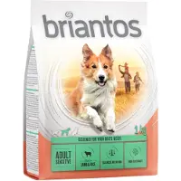 Briantos Adult Sensitive lammas & riisi - säästöpakkaus: 4 x 1 kg