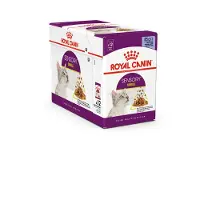 Royal Canin 12x85g Sensory Smell in Gravy -kissanruoka