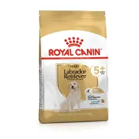 Royal Canin Labrador Retriever Senior Adult 5+ kuivaruoka vanhemmille labradorinnoutajakoirille, 12 kg