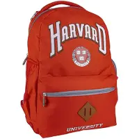 Cerda Group Harvard Reppu