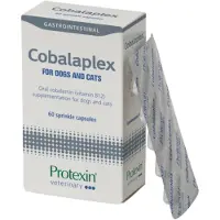 Protexin Veterinary - Cobalaplex koirille ja kissoille 60 kapselia - Eläinlääkärituotteet - Eläinapteekki - Vitamiinit ja ravintolisät