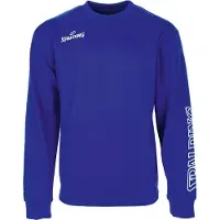 Spalding Team Ii Crew Collegepaita