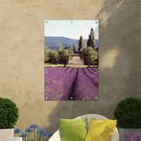 Smartphoto Vinyylijuliste 70 x 105 cm