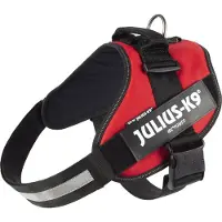 JULIUS K-9 Idc Koiran Valjaat