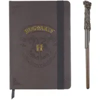 Cerdá Harry Potter Hogwarts Notebook Kultainen