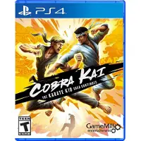 Cobra Kai: Karate Kidin tarina jatkuu - Sony PlayStation 4 - Beat 'em Up