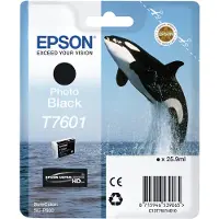 Epson T7601