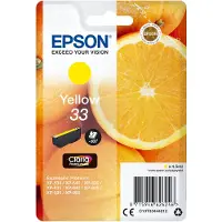 Epson 33