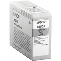 Epson T8509