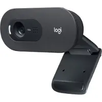 Logitech C505 HD -verkkokamera - suoratoistoverkkokamera, 720p HD ulkoinen USB-kamera - harmaa