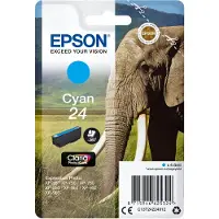 Epson C13T24224022