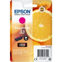 Epson 33