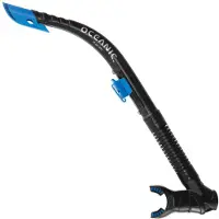 Oceanic Arid Sukellus Snorkkeli