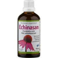 Hankintatukku Echinasan