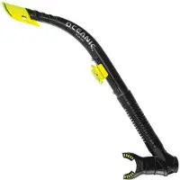 Oceanic Arid Sukellus Snorkkeli