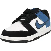Nike Dunk Low Retro Lenkkarit