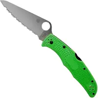 Spyderco Pacific Salt 2 Lockback Green
