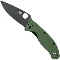 Spyderco Tenacious Green Black C122GPBGR pocket knife