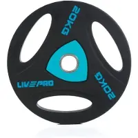 LivePro Urethane Levypaino - 20kg