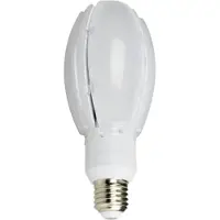 Nasc LED soikea Pihalamppu 30W E27 4000K