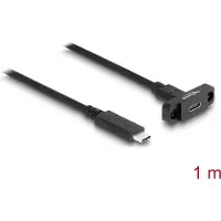 DeLOCK – SuperSpeed USB 10Gbps (USB 3.2 Gen 2) Cable USB Type-C male to female 1 m panel-mount blk (87824)