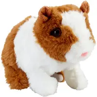 Happy Pets Guinea Pig - Multi/patterned - ONE SIZE